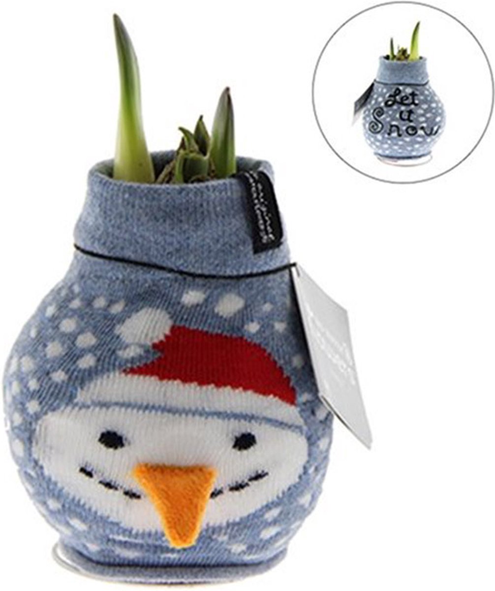 Wax Amaryllis Fashionz Xmas Sneeuwpop | 1 stuk | Prachtige Wax Amaryllis voor in